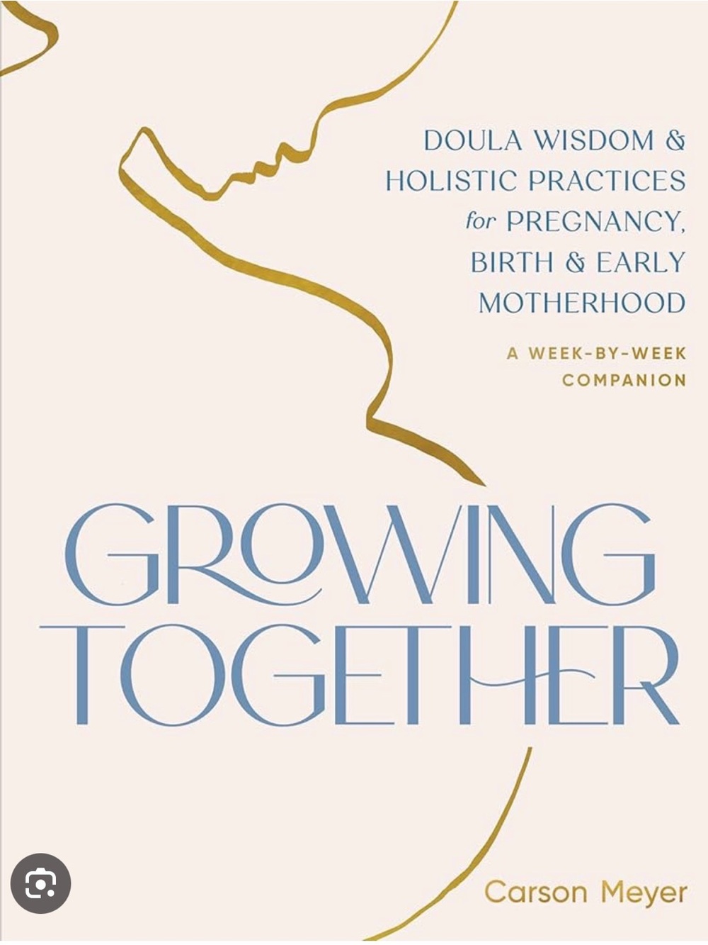 Growing Together Pregnancy Book
